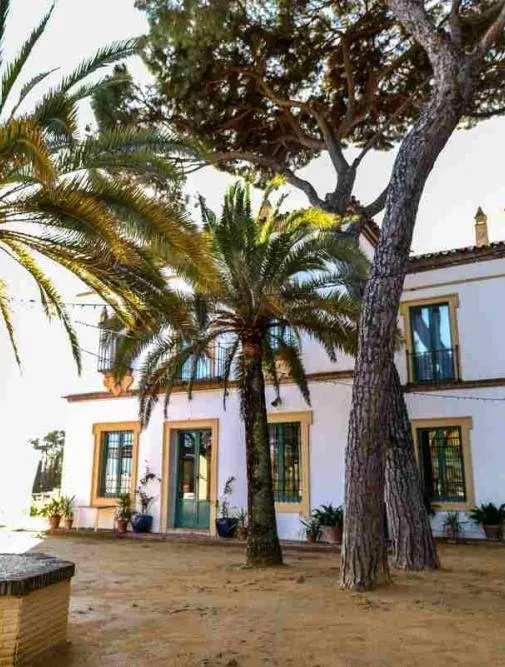 Hotel Oromana
